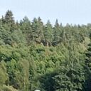 ���������� ������, ���� ������� ���������, 56 ���, ������������ ��� c�������� ���������