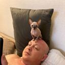 ���������� ������, ���� ������� ������, 45 ���, ������������ ��� ������, ����� � ���������