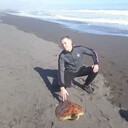 ���������� �������, ���� ������� �������, 37 ���, ������������ ��� ������, ����� � ���������