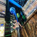 ���������� �������, ���� ������� ������, 27 ���, ������������ ��� ������, ����� � ���������, c�������� ���������, ���������