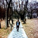 ���������� ����, ���� ������� �����, 31 ���, ������������ ��� ����� � ���������, c�������� ���������