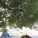 ���������� �����-���������, ���� ������� ������, 28 ���, ������������ ��� ������, ����� � ���������, c�������� ���������