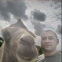 ���������� �����������, ���� ������� �����, 36 ���, ������������ ��� ������, ����� � ���������, c�������� ���������