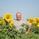   ,   , 52 ,   