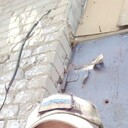  ,   Sumrakalex, 36 ,   ,   , 