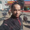  ,   Samuhommet, 31 ,  