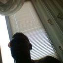  ,   Vadim, 37 ,   ,   , c 
