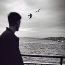 ���������� �������, ���� ������� Diplo, 32 ����, ������������ ��� ������, ����� � ���������