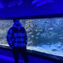 ���������� ����, ���� ������� ������, 36 ���, ������������ ��� ������, ����� � ���������