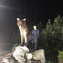  ,   , 42 ,   ,   , c 