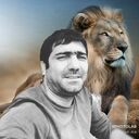 ���������� ������, ���� ������� ������, 44 ����, ������������ ��� ������, ����� � ���������