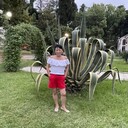  -,   , 62 ,   ,   