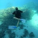 ���������� ���, ���� ������� ������, 46 ���, ������������ ��� ������, ����� � ���������