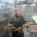 ���������� �������, ���� ����� ��������, 23 ����, ������������ ��� ������, ����� � ���������, ���������