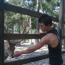 ���������� �������, ���� ������� ����������, 33 ����, ������������ ��� ������