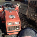 ���������� �����������, ���� ������� Ivan, 35 ���, ������������ ��� ������, ����� � ���������