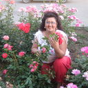 ���������� ��������, ���� ������� ������, 55 ���, ������������ ��� ������, ����� � ���������, c�������� ���������