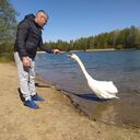 ���������� ����, ���� ������� ��������, 38 ���, ������������ ��� ������, ����� � ���������, c�������� ���������