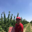 ���������� ������, ���� ������� ����, 40 ���, ������������ ��� ������, ����� � ���������