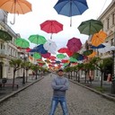 ���������� �����-���������, ���� ������� �����, 48 ���, ������������ ��� ������, ���������