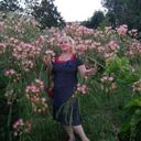  ,   , 51 ,   ,   