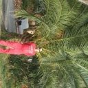  ,   ARTUR, 48 ,  