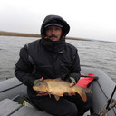  ,   Alex, 54 ,   ,   , c 