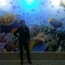 ���������� ����, ���� ������� ������, 43 ����, ������������ ��� ������, ����� � ���������, c�������� ���������