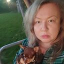 ���������� ������, ���� ������� ���������, 41 ���, ������������ ��� ����� � ���������, c�������� ���������