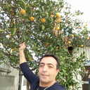  Nicosia,   Feodor, 58 ,   ,   , c 