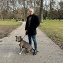 ���������� ������, ���� ������� ��������, 38 ���, ������������ ��� ������, ����� � ���������, c�������� ���������