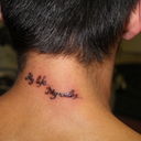 ���������� ���������, ���� ������� ������, 36 ���, ������������ 