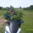   ,   , 41 ,   ,   , c 