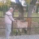  ,   , 55 ,  