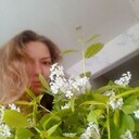  ,   Chudo, 39 ,     , c 