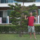  ,   , 51 ,  