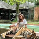 ���������� �����-���������, ���� ������� ���, 26 ���, ������������ ��� ������, ����� � ���������