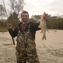 ���������� �����, ���� ������� ����������, 41 ���, ������������ ��� ������, ����� � ���������, c�������� ���������