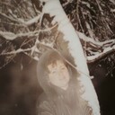 ,   Alla, 60 ,   c 
