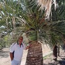  ,   , 51 ,   ,   , c 