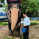  ,   , 31 ,     , c , 