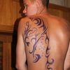  ,   Misha, 33 ,   ,   , c 