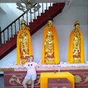 ���������� ���������, ���� ������� ��������, 50 ���, ������������ ��� ����� � ���������, c�������� ���������