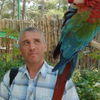  ,   , 53 ,     , c 