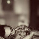 ���������� ���, ���� ������� ������, 42 ����, ������������ ��� ������, ����� � ���������, c�������� ���������