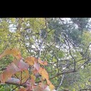  ,   , 62 ,   ,   , c 