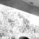 ���������� ���, ���� ������� Lev, 34 ����, ������������ ��� ������, ����� � ���������