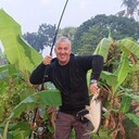  Comilla,   , 49 ,   ,   , c , 