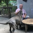 ���������� ������, ���� ������� �����, 60 ���, ������������ ��� ������, ����� � ���������