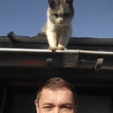 ���������� ��������, ���� ������� ������, 43 ����, ������������ ��� ������, ����� � ���������, c�������� ���������, ���������